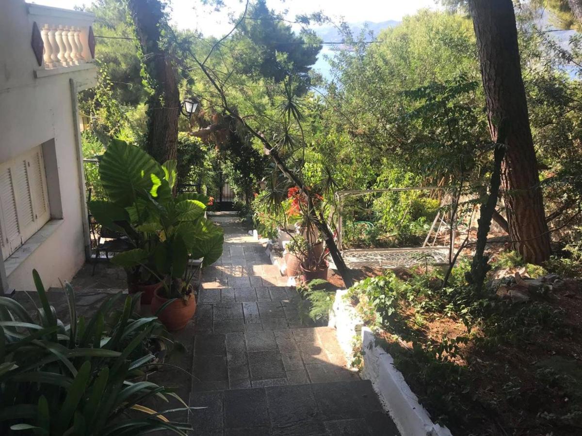 Villa Loula Apartment II Poros Town Eksteriør bilde